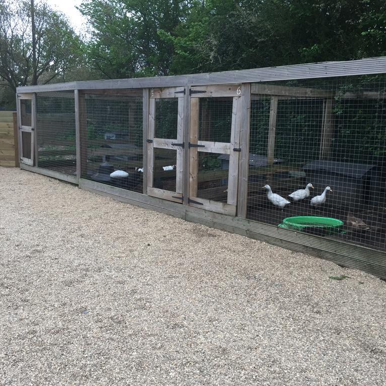 Willow Court Farm The Lodge & Petting Farm, 8 Mins From Legoland & Windsor, 15 Mins From Lapland Uk Dış mekan fotoğraf