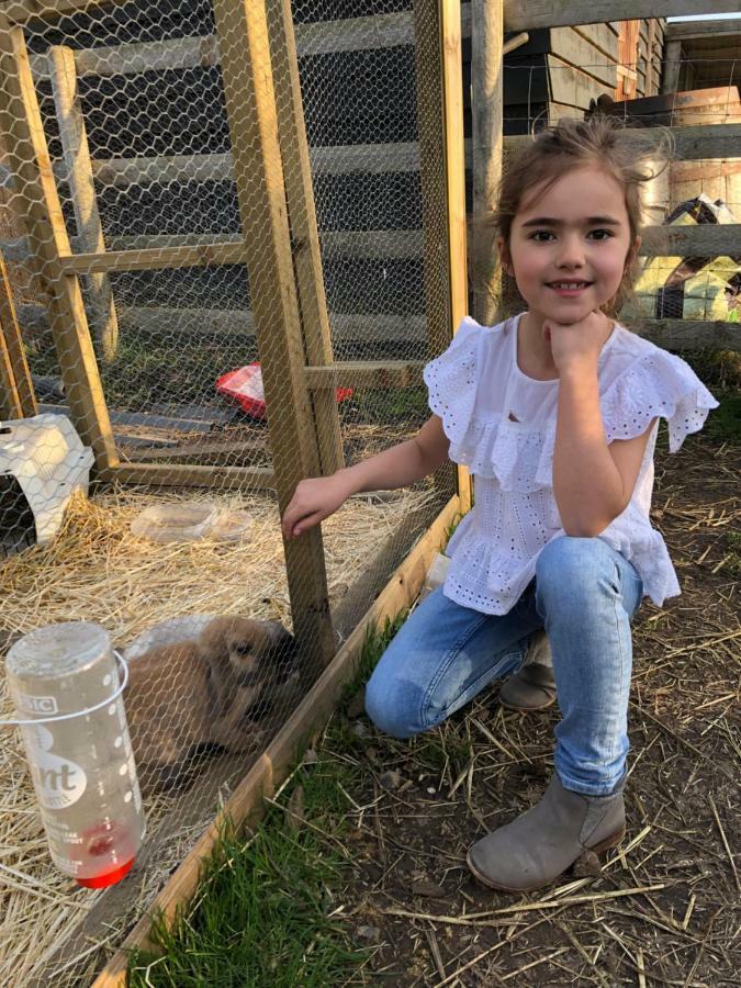 Willow Court Farm The Lodge & Petting Farm, 8 Mins From Legoland & Windsor, 15 Mins From Lapland Uk Dış mekan fotoğraf