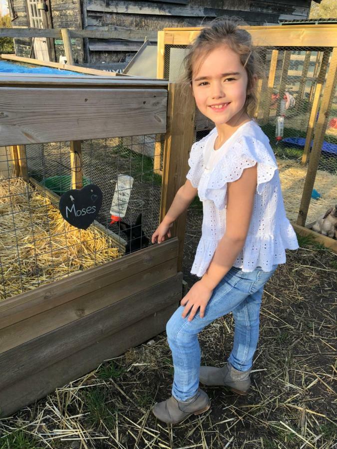 Willow Court Farm The Lodge & Petting Farm, 8 Mins From Legoland & Windsor, 15 Mins From Lapland Uk Dış mekan fotoğraf
