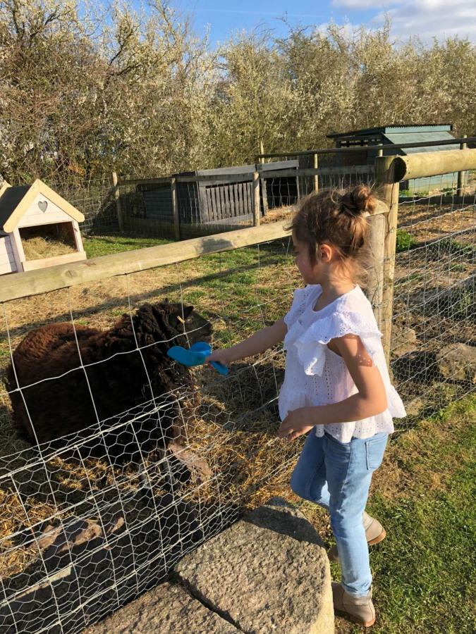 Willow Court Farm The Lodge & Petting Farm, 8 Mins From Legoland & Windsor, 15 Mins From Lapland Uk Dış mekan fotoğraf
