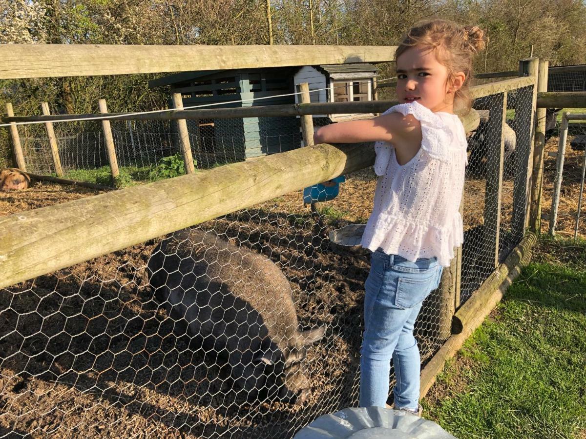 Willow Court Farm The Lodge & Petting Farm, 8 Mins From Legoland & Windsor, 15 Mins From Lapland Uk Dış mekan fotoğraf